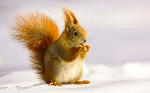 �����ͯԒ����400��10ƪ