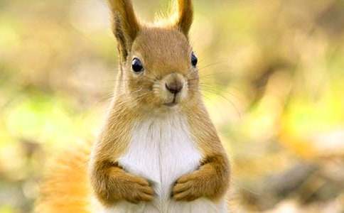 �����ͯԒ����300�֣����x37ƪ��