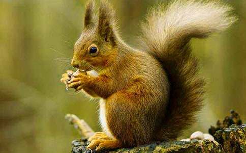 (���T)�����ͯԒ����5ƪ