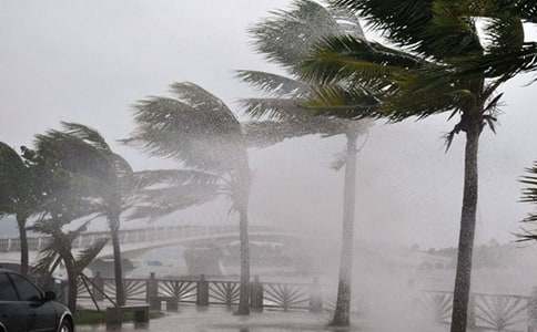 �_�L(f��ng)���˵����ķ���