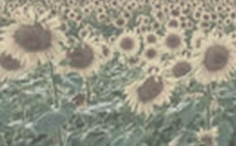 �^��̫�(y��ng)������