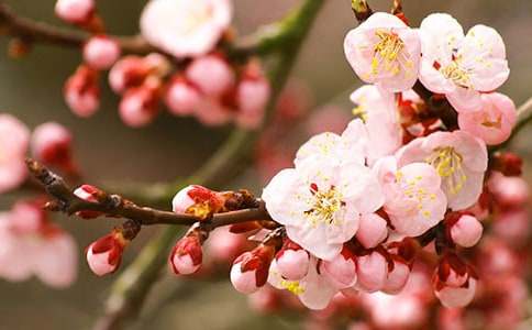 �����һ�ˮ������600�֣����x6ƪ��