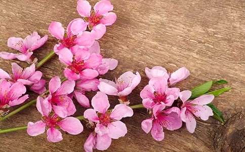 �����һ�ˮ����15ƪ(�ϼ�)