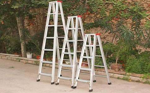 大班健康《好玩的梯子》教案