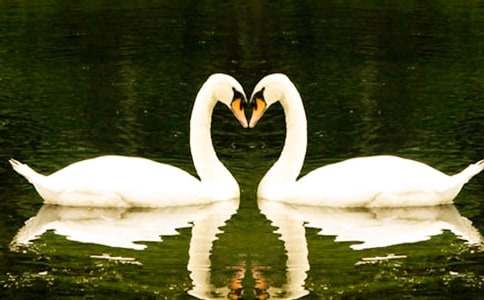 �^�����Z�����и������İ���