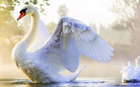 ��С��׃�ɰ����ZͯԒ���ģ�ͨ��37ƪ��