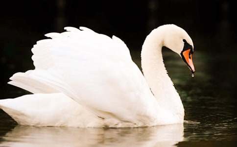 ���Z��ͯԒ���£���ֻ���Z