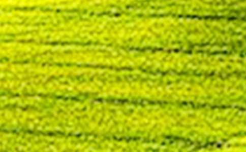 ��������Ұ����3ƪ