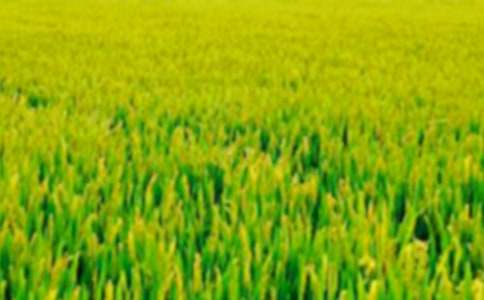 ������Ұ���~�Z