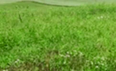 ����Ұ���~�Z