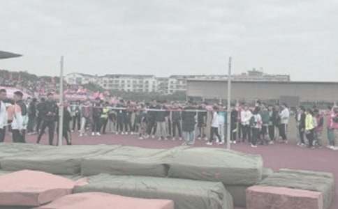 小學六年級作文600字:龜兔跳高