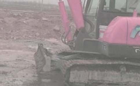 �ھ�C�����U��ͬ