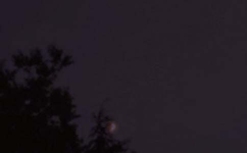 推薦晚安寄語匯總(通用165句)