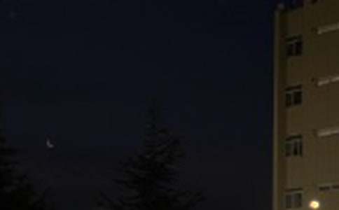 �����������Z(y��)�R��55��