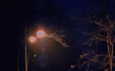 ���Tů���������Z100��