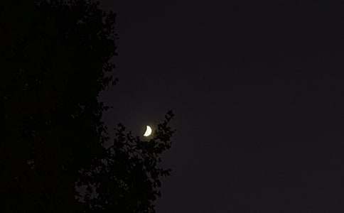 ��(j��ng)������Ȧ���������Z��ȫ190�侫�x