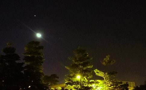 ���T�������������Z��ȫ155��