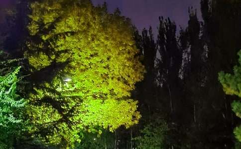 ���̵����������Z�����x100�䣩