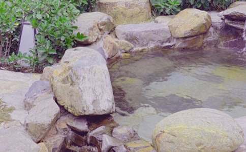 �ݜ�ȪС�W����450��