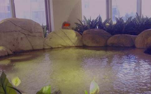 �ݜ�Ȫ����800��3ƪ