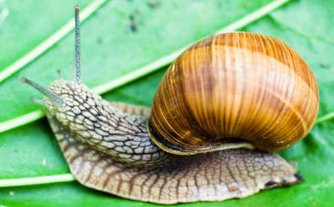 С΁ţ�����ѣ�С�W(xu��)���ģ�