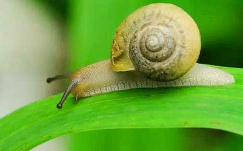 �^��΁ţ������