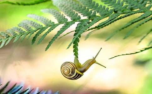 �^��΁ţ�����ģ�ͨ��4ƪ��