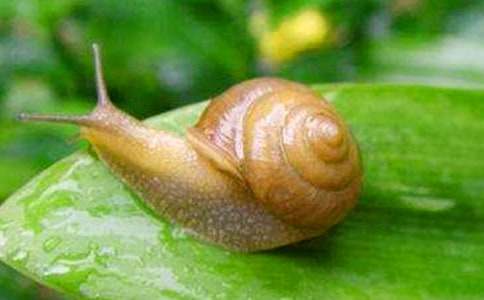 ΁ţ���^�샞(y��u)������