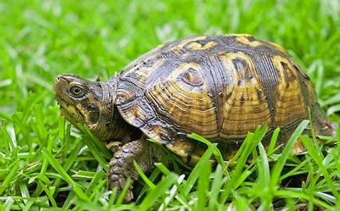 �Ҽҵ�С����С�W(xu��)���ĺϼ�15ƪ