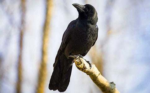 ���f��ˮ��ƪ����400�֣����x45ƪ��