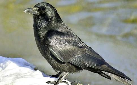 �����f�ď�(f��)��ͯԒ����