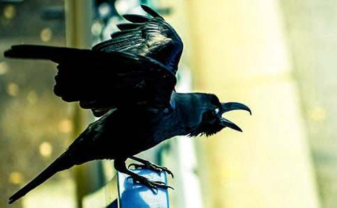 ���f��ˮ���ģ����x41ƪ��