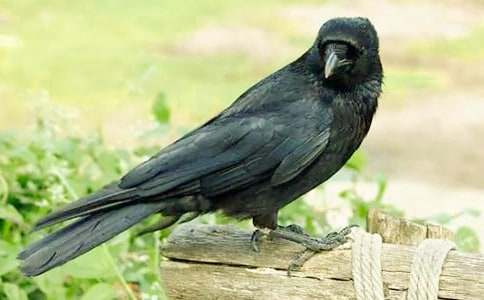 ���f��ˮ����200�֣�ͨ��34ƪ��