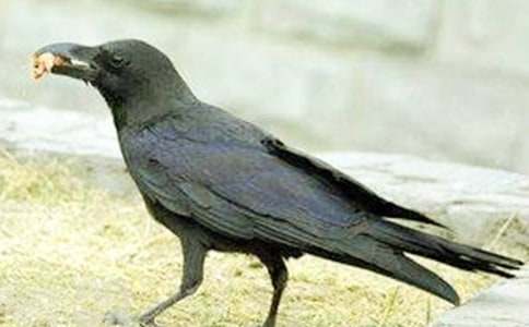 С�W(xu��)���f��ˮ����