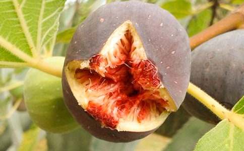 õ�廨�c�o��������