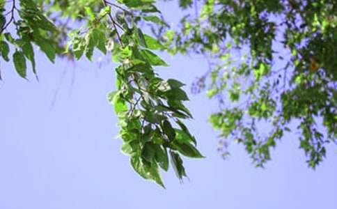 �P(gu��n)��ů���簲���ԣ����x70�䣩