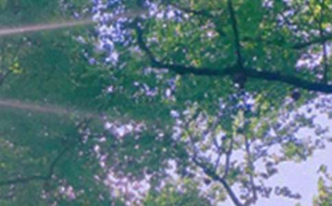 ��ů���簲���Z΢��32��