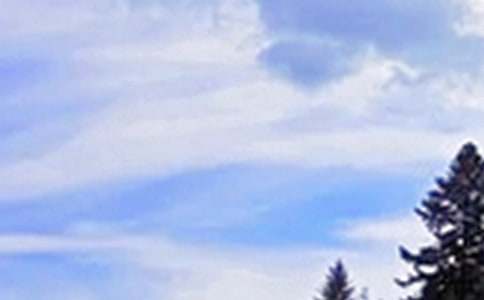 Ψ�����簲���Z(y��)���ż���36��