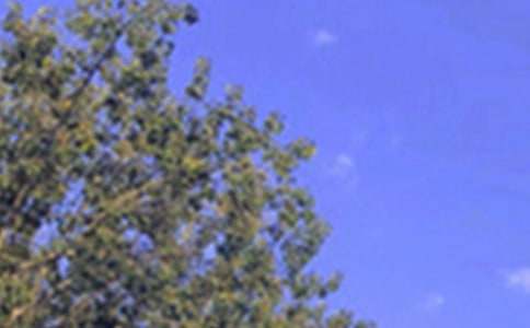 經(jīng)典暖心午安感言大全60句