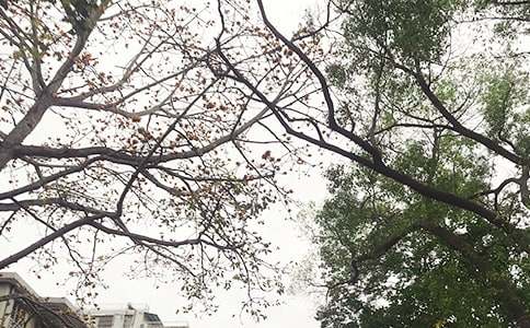 ���õ��簲QQ�����Z���\61��