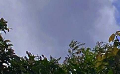 �P(gu��n)��ů���簲ף���Z40�侫�x