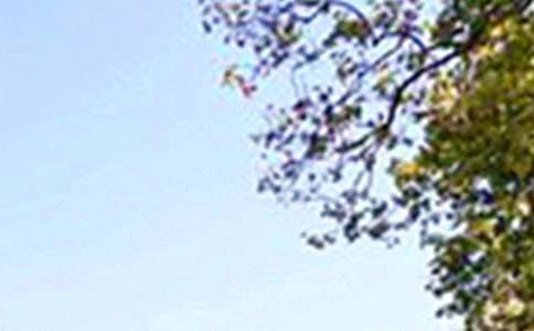 經典午安寄語大全(精選80句)