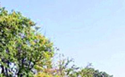 ��(j��ng)��Ψ���簲���Դ�ȫ�����x100�䣩