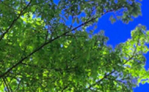 ��(j��ng)��ů���簲�����Z�����x90�䣩