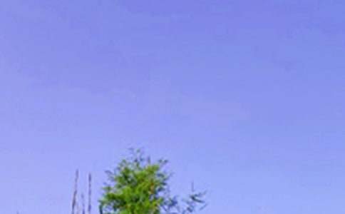 �簲΢�ņ����Z���\81��