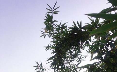 ��ů���簲���Z39�l