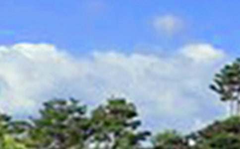 ��ܰ���簲���Z΢��39�l