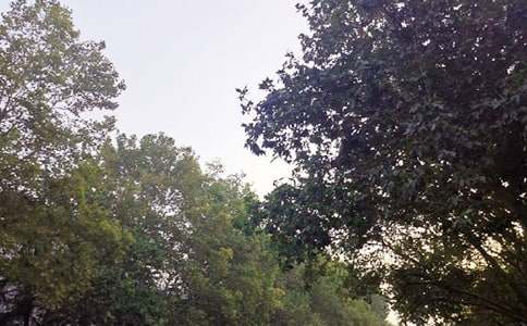 �簲���ZQQ�R��84�l