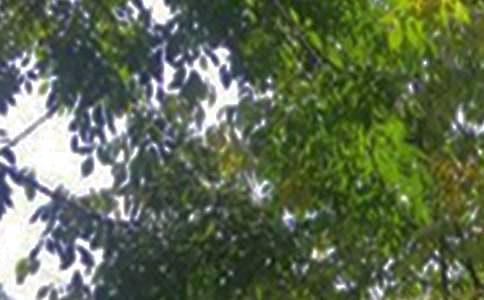 ��ܰ���簲���Z38��