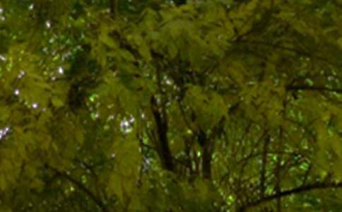 2024�����õ��簲QQ�����Z���\91��